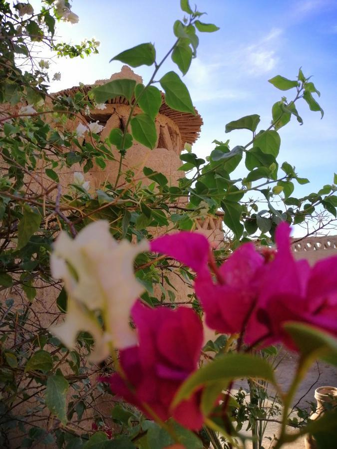 La Gazelle Bleue Hotel Merzouga Esterno foto